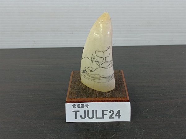 TJULF24 鯨の歯 クジラ 置物 約10cm(その他)｜売買されたオークション 