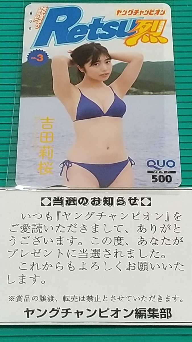 yo.{ :. pre Yoshida . Sakura / YOUNG CHAMPION. original QUO card QUO500 present selection notification document 1 sheets.