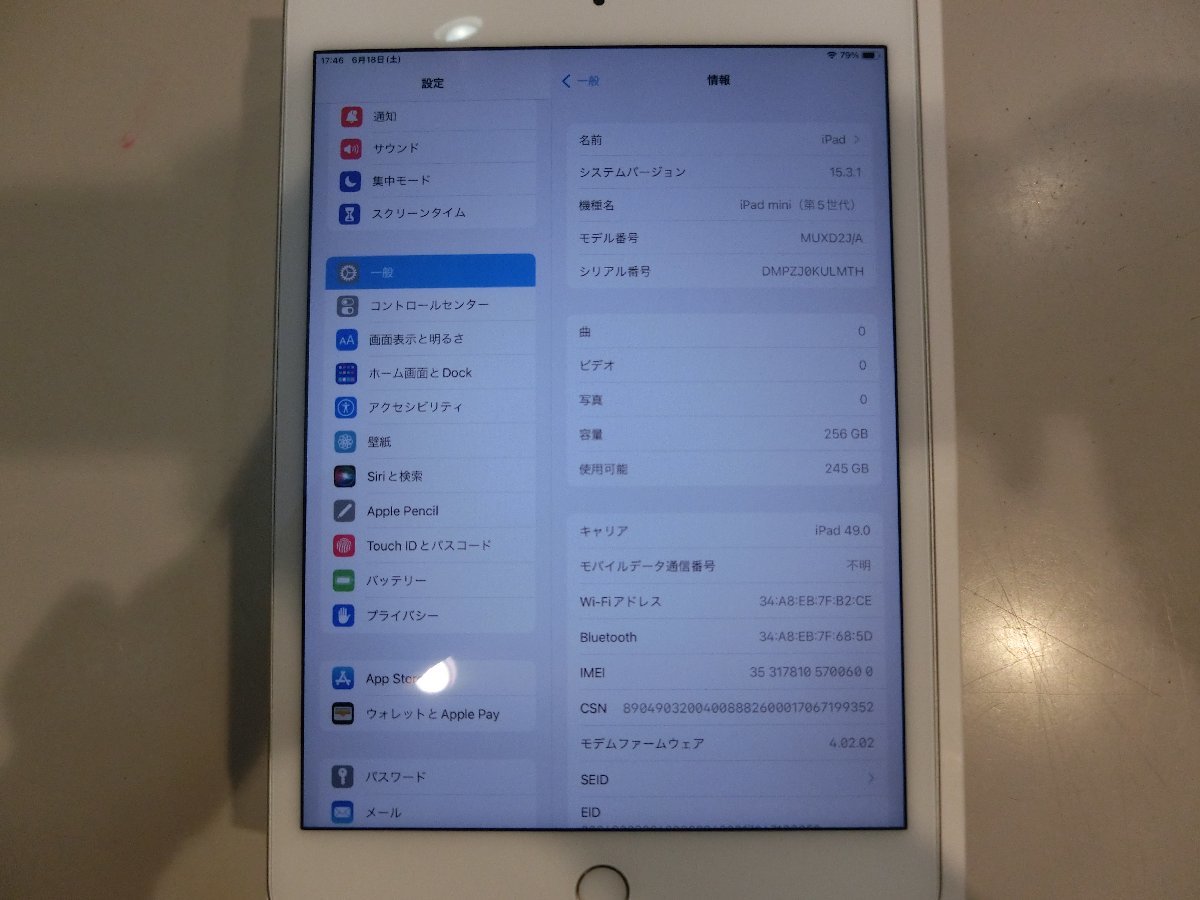 SIMフリーiPad mini5 256GB wifi +cellular SIMフリーiPad mini5 256GB wifi +cellular