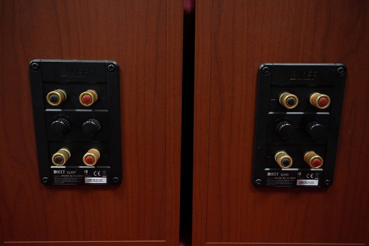 KEF スピーカー Q300 SP3724ペアです サランネットに難あり KEF スピーカー Q300 SP3724ペアです サランネットに難あり