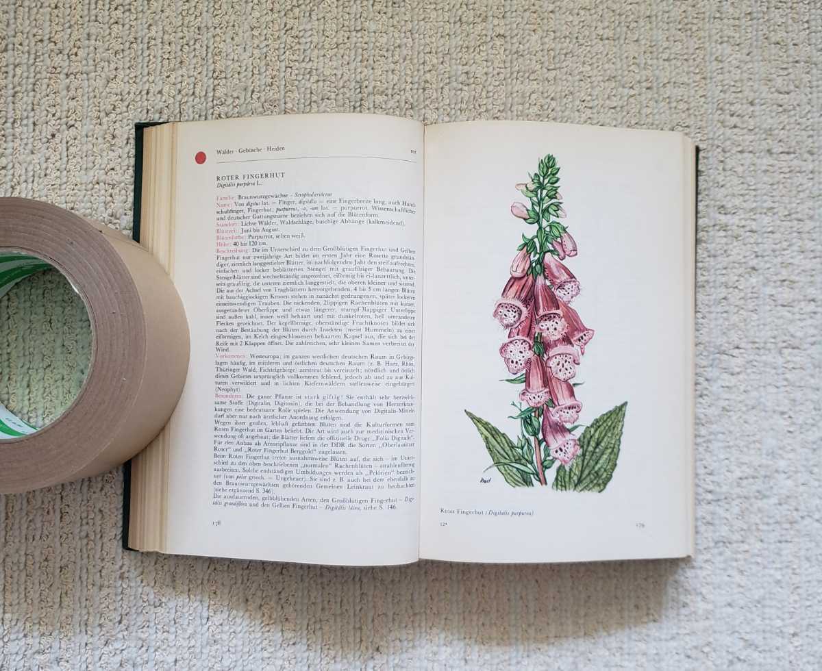  antique Germany plant illustrated reference book 
