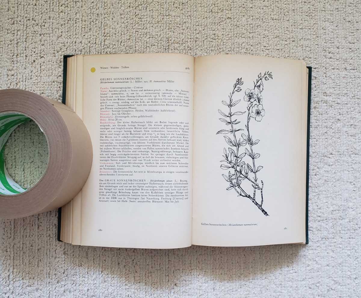  antique Germany plant illustrated reference book 