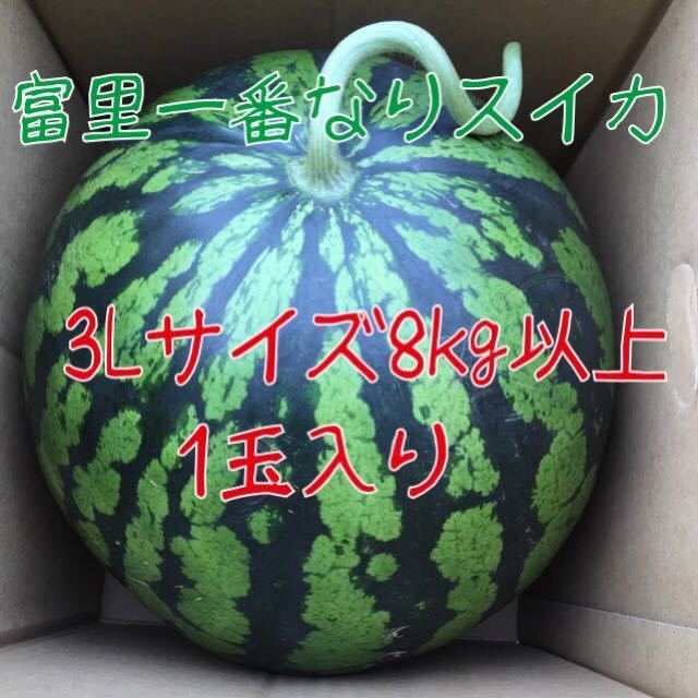 お歳暮富里1番なりスイカ味きらら3Lサイズ1玉入り 果物 | sos.cafe