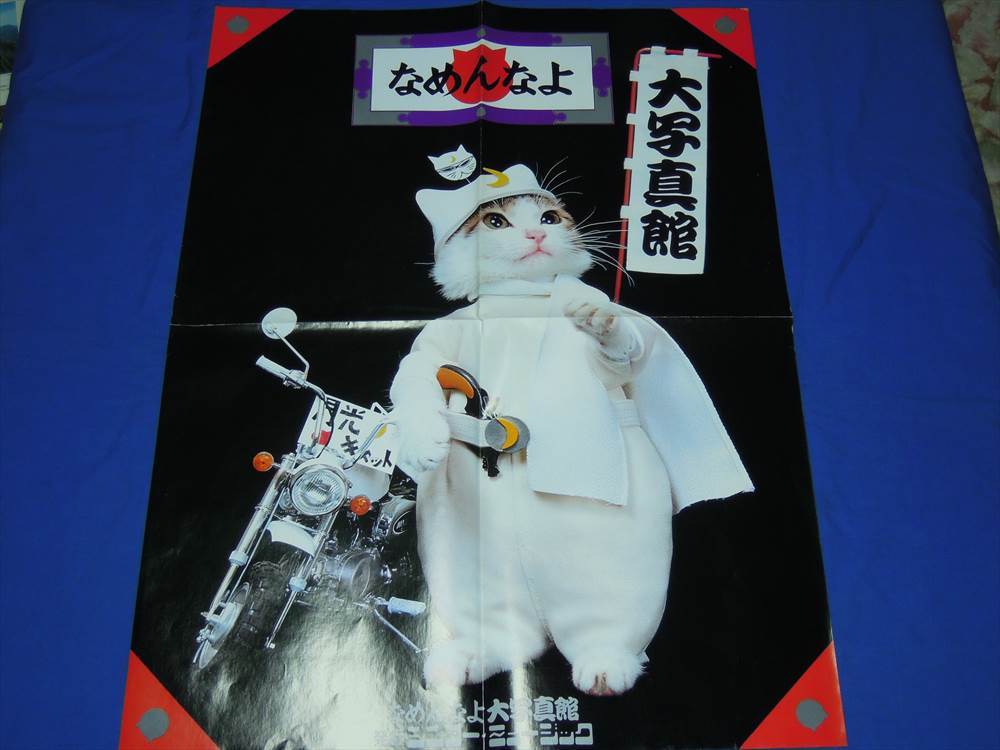 なめ猫 なめんなよ ポスター 4種 Yahoo!オークション - E344 なめ猫写真集「なめんなよ大写真館