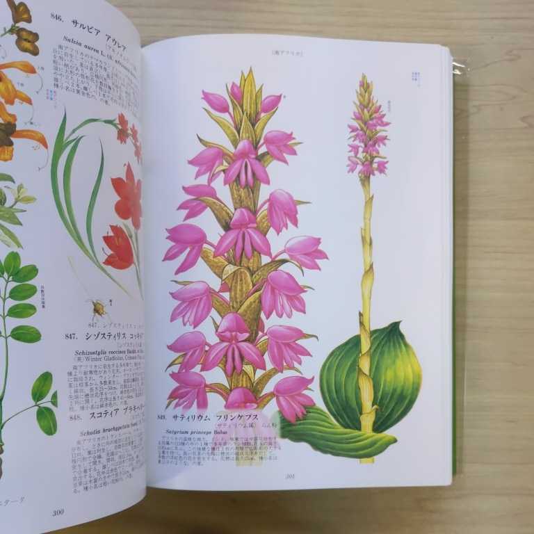 . color world plant large illustrated reference book ../..., old . Kazuo north . pavilion Showa era 61 year 0 secondhand book /. attrition yore scratch scratch seal have /bini cover scratch ./ ground small . little dirt /mok Len 