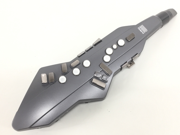 Roland ローランド AE-05 Aerophone GO エアロフォンGO 電子楽器 楽器