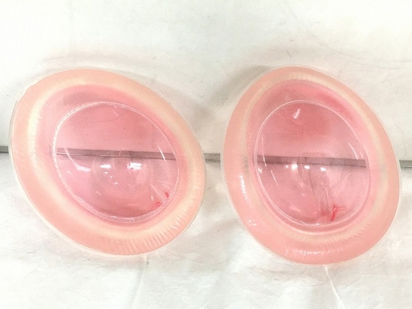 ハンナジェイ EVE RHEA イブレア BEBRA ビブラ バストケア美容 ハンナジェイ EVE RHEA イブレア BEBRA ビブラ バストケア美容