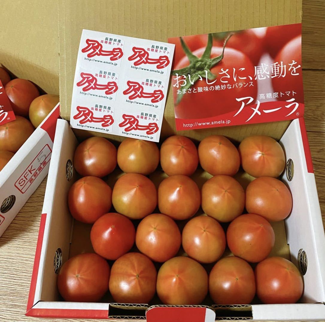 トマト　アメーラ　約1kg 高糖度フルーツトマト_画像2