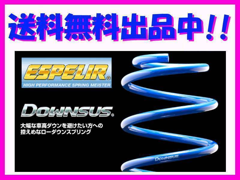 送料無料 エスペリア ダウンサス (前後1台分) RAV4 G/Xグレード MXAA54 EST-5269