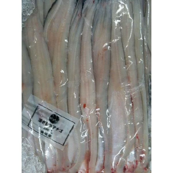 Жизнь 〆 Conger M Size 10 Hail Open Open Tempura Anago Anago Anago