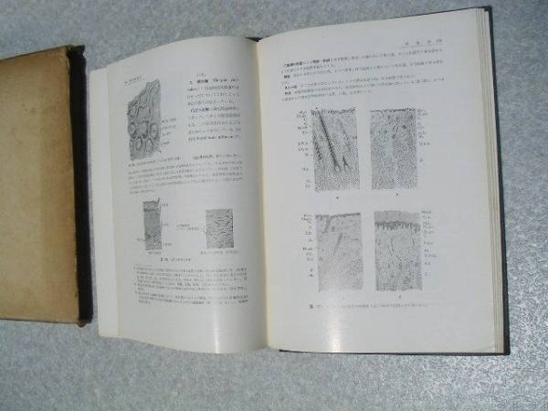 ∞　小組織学　森於莵・小川鼎三、著　金原出版　昭和35年　改訂第１3版発行_経年傷み、焼け、スレ、汚れ等有ります