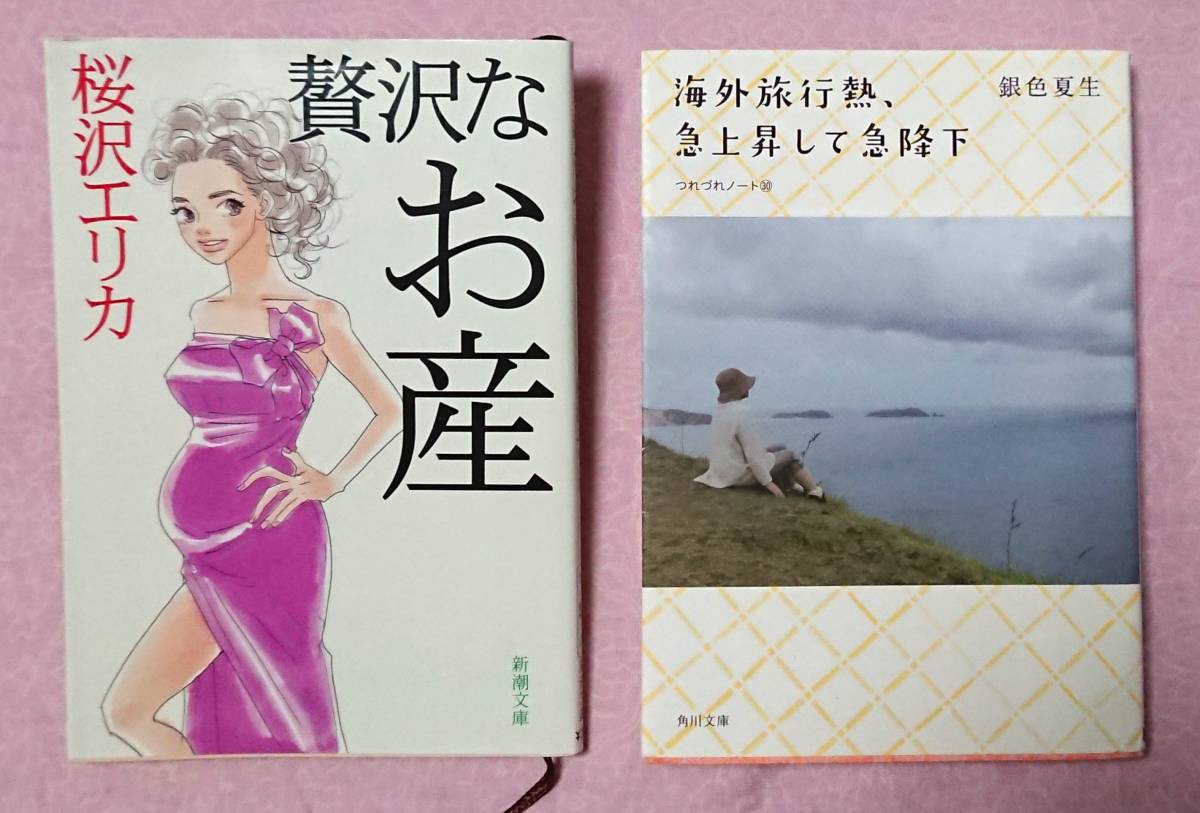 【贅沢なお産 & 海外旅行熱、急上昇して急降下 2冊セット】桜沢エリカ 銀色夏生 エッセイ 文庫本 本 自宅出産 つれづれノート30 日記 読書_画像2