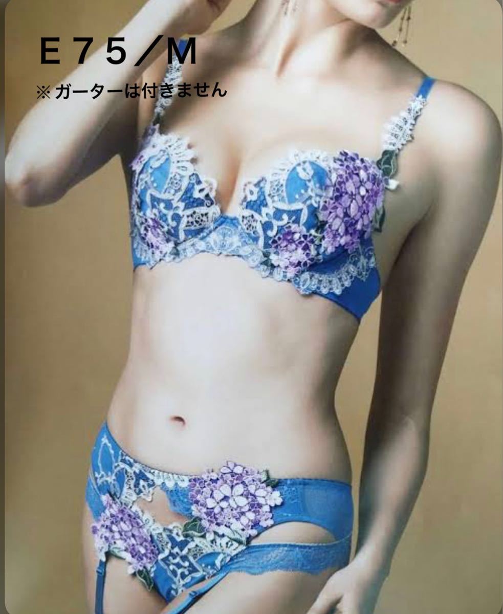 希少】ワコール サルート 店舗限定 49G モロッコナズナ ブラ&ソング