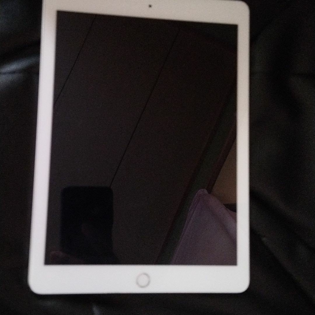 75%OFF!】 iPad mini 第5世代 256GB 付属品箱無 Wi-Fiモデル ケース付 ...