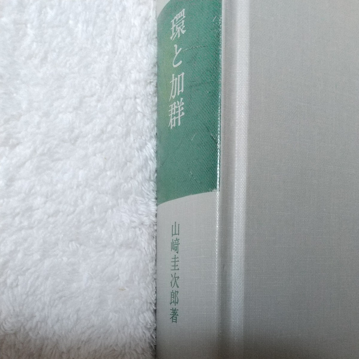環と加群 岩波基礎数学選書 山﨑圭次郎著|Yahoo!フリマ(旧 環と加群 岩波基礎数学選書 山﨑圭次郎著|Yahoo!フリマ(旧