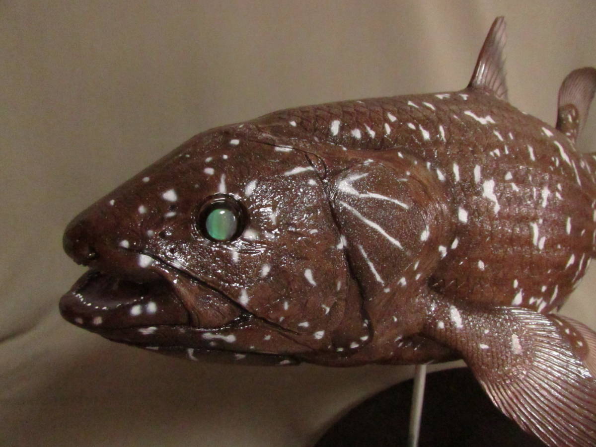 ○ハンドメイド 61cmシーラカンス 茶色 フィギュア レプリカ ○ハンドメイド 61cmシーラカンス 茶色 フィギュア レプリカ
