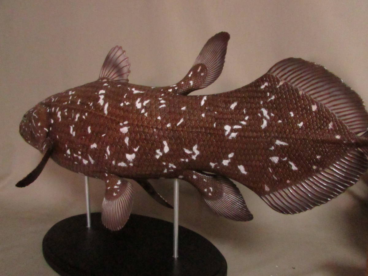 ○ハンドメイド 61cmシーラカンス 茶色 フィギュア レプリカ ○ハンドメイド 61cmシーラカンス 茶色 フィギュア レプリカ
