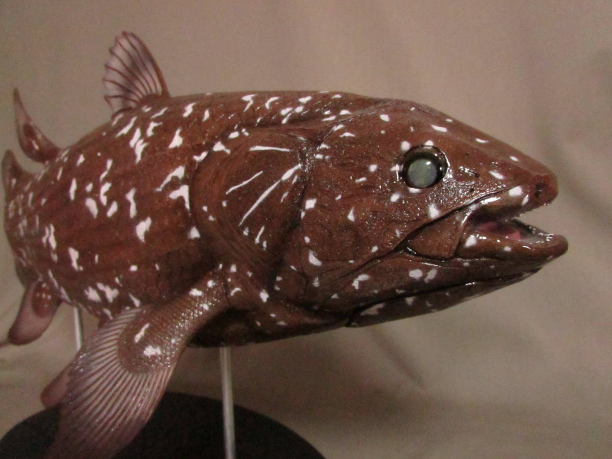 ○ハンドメイド 61cmシーラカンス 茶色 フィギュア レプリカ ○ハンドメイド 61cmシーラカンス 茶色 フィギュア レプリカ