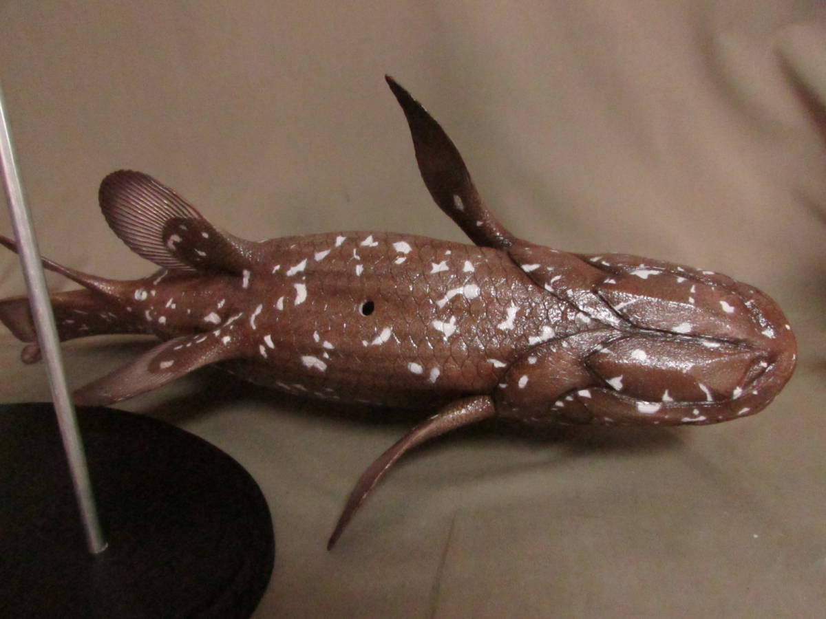 ○ハンドメイド 61cmシーラカンス 茶色 フィギュア レプリカ ○ハンドメイド 61cmシーラカンス 茶色 フィギュア レプリカ