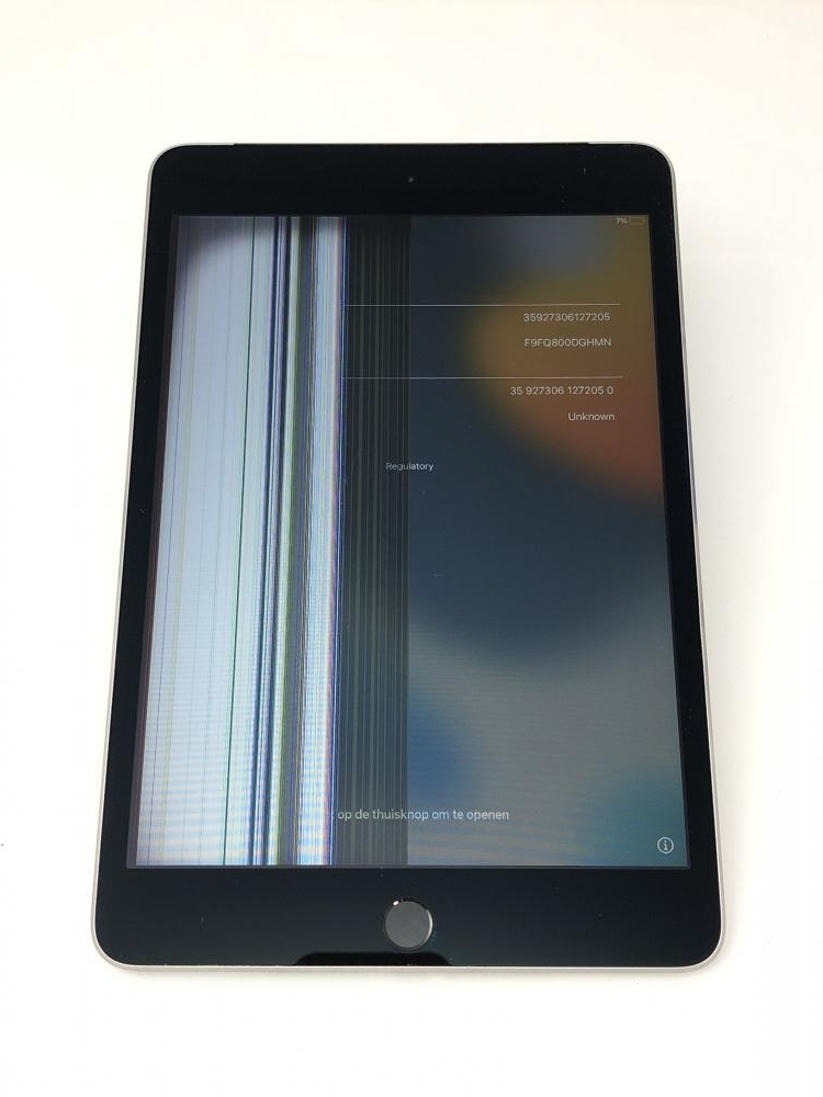 920【ジャンク品】 iPad mini4 128GB Apple 国内版SIM フリー スペース