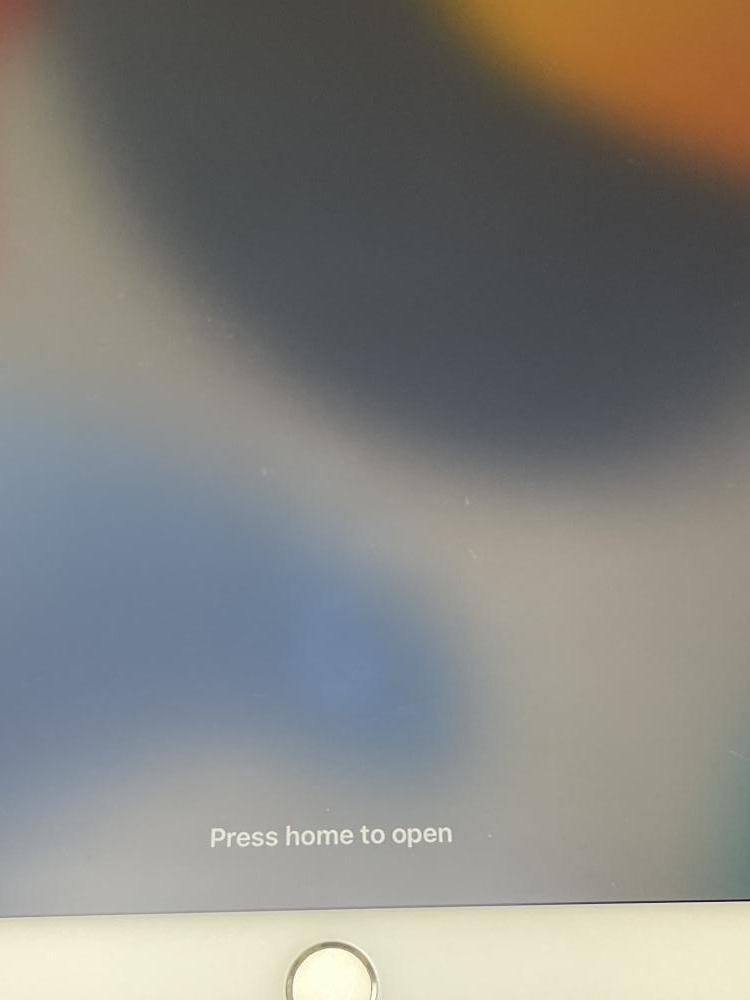 U223【ジャンク品】 iPad PRO 10.5インチ 256GB Wi-Fi シルバー /080
