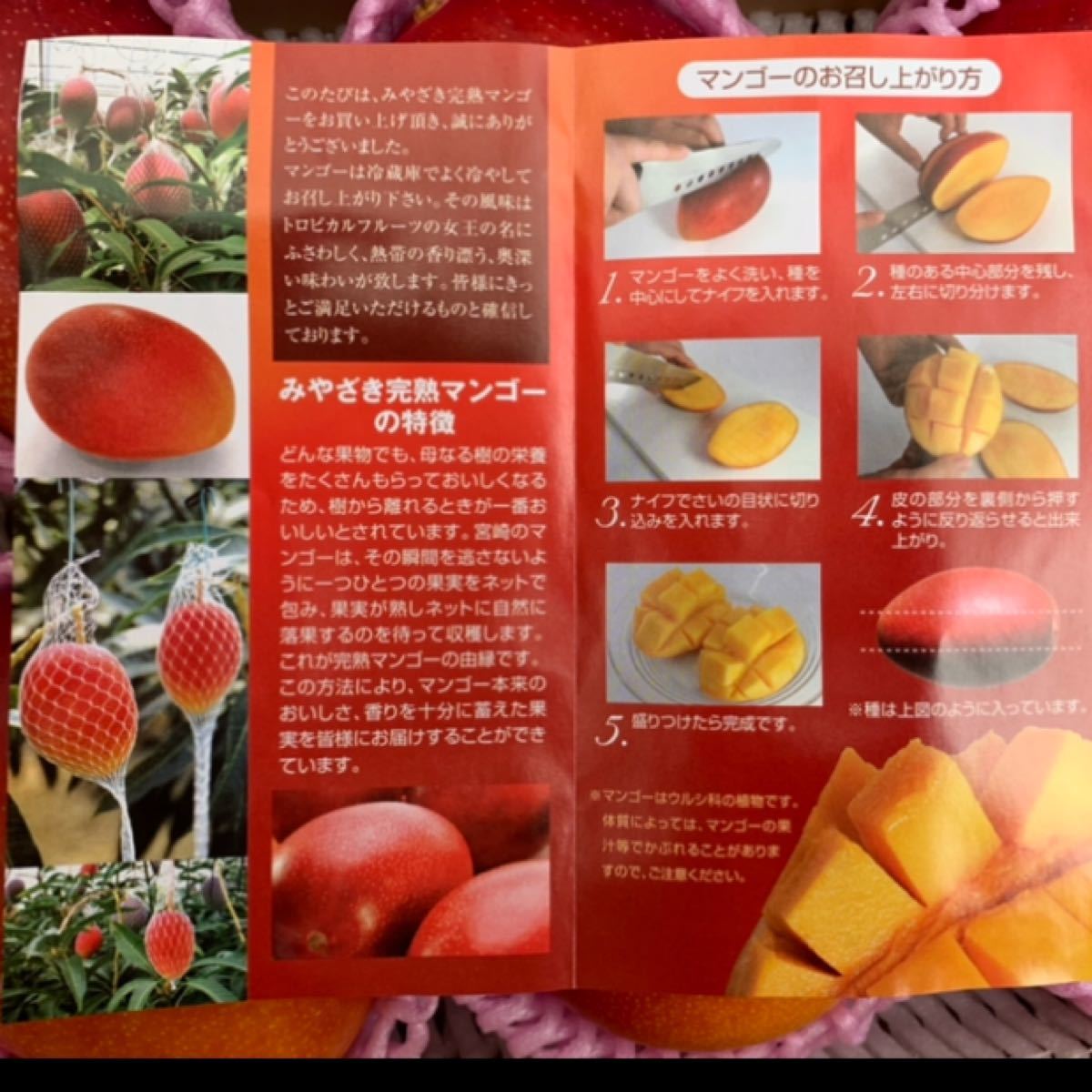 宮崎県産完熟マンゴー4L3玉 大玉サイズ 美人姉妹 その他 | mnjuridico