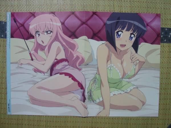  Queen's Blade libeli on ( unusual edge ...sigi. underwear ), Zero no Tsukaima ( Louis zsie start ) both sides pin nap poster 