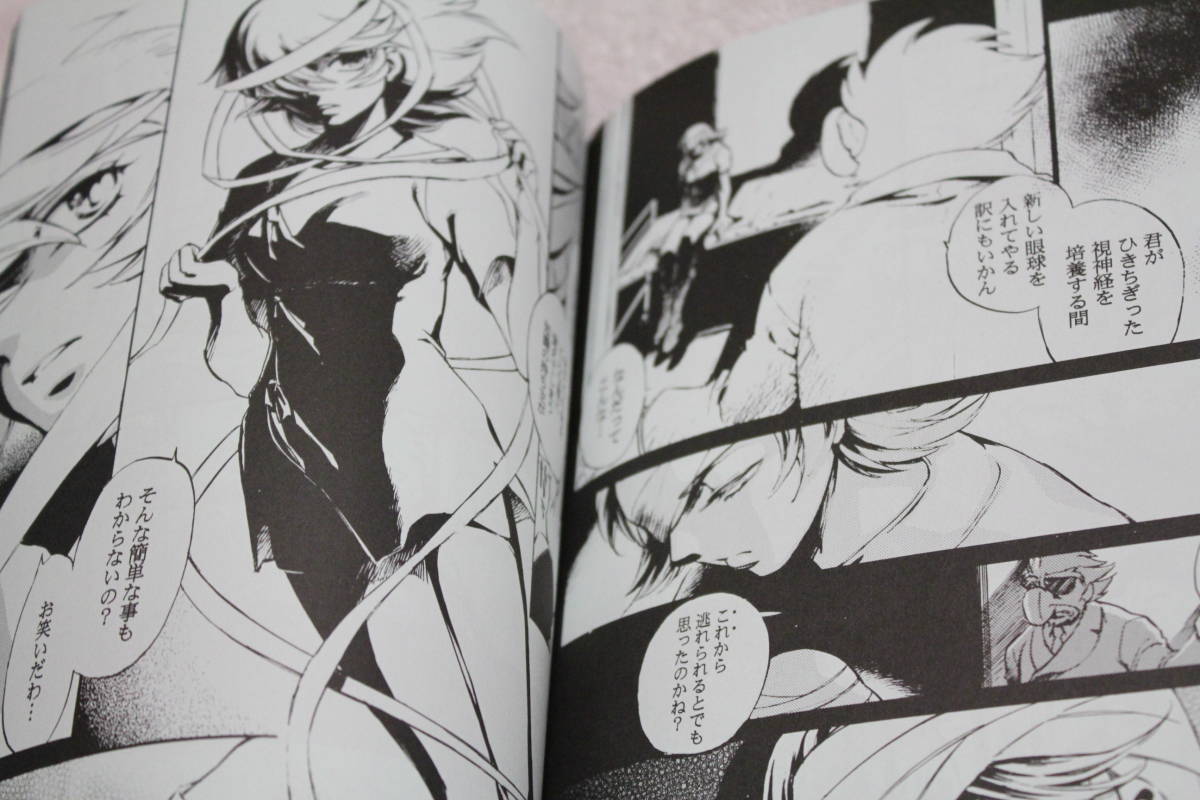 サイボーグ009』同人誌☆輝くもの天より墜ち Bightness Falls サイボーグ009』同人誌☆輝くもの天より墜ち Bightness Falls