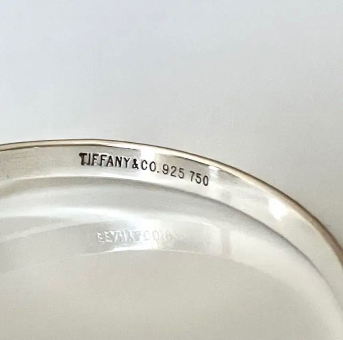 Tiffany&Co Mexico製 バングル | wise.edu.pk