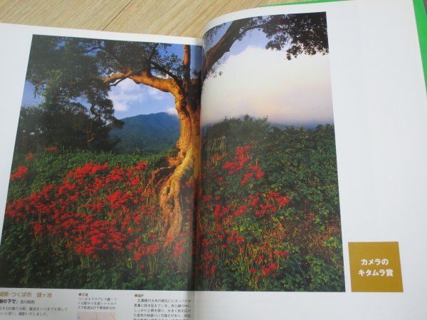 2007年■よみうり風景写真コンテスト応募作品集「こころの風景」読売新聞社　掲載200点_画像5