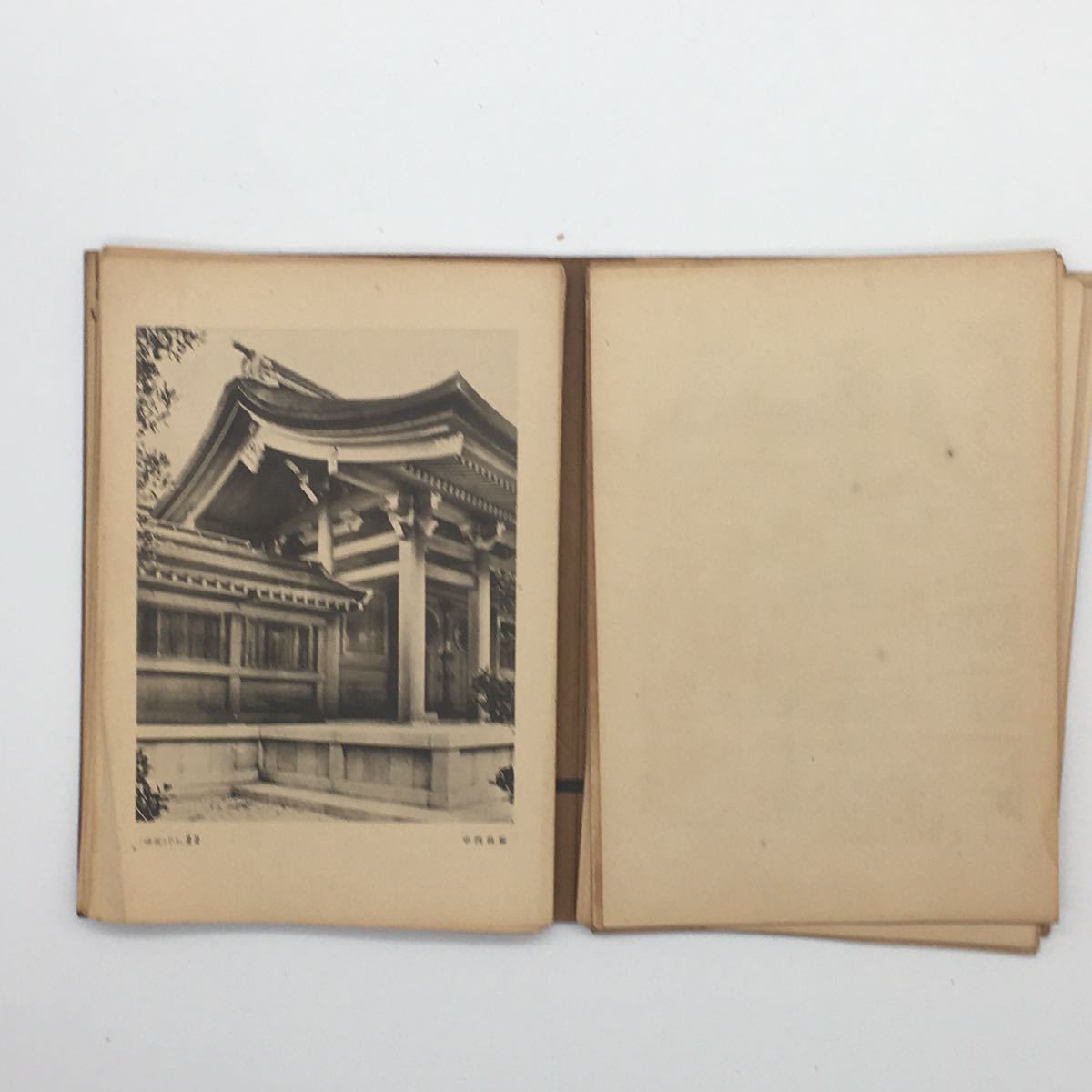 建築写真類聚】明治神宮写真集 七期十四 洪洋社 プレート約 建築写真類聚】明治神宮写真集 七期十四 洪洋社 プレート約