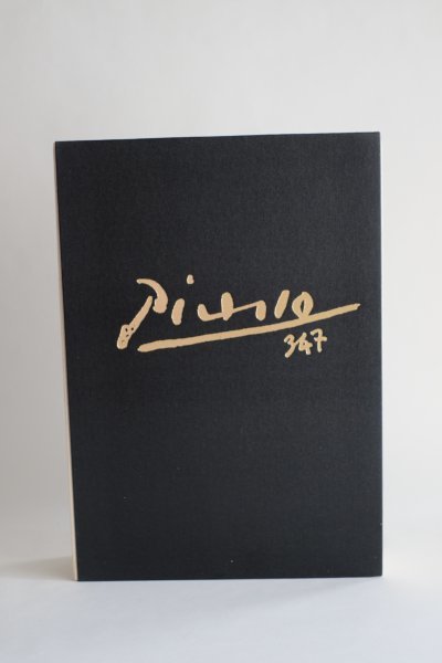 希少・美品】大型本「Picasso347 全2冊揃」ピカソ 画集 | isn-india.org