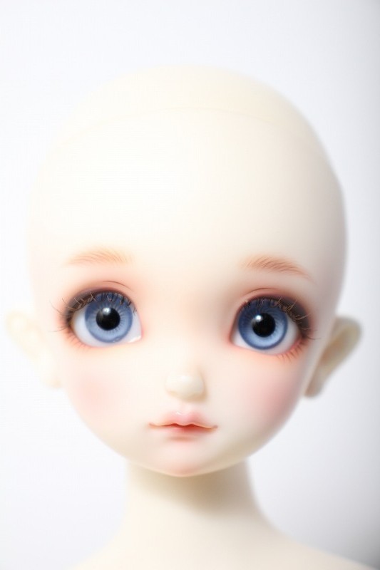 Y220330-072 SDM/コーディネートモデルF-48 (2222030296051