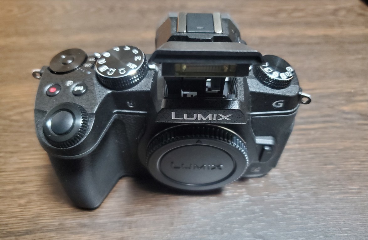 Panasonic DMC G8 DMC-G8M-K | befoods.cl