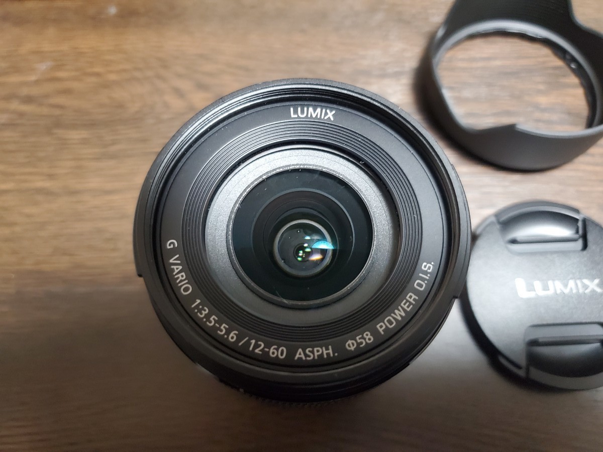 Panasonic DMC G8 DMC-G8M-K | befoods.cl
