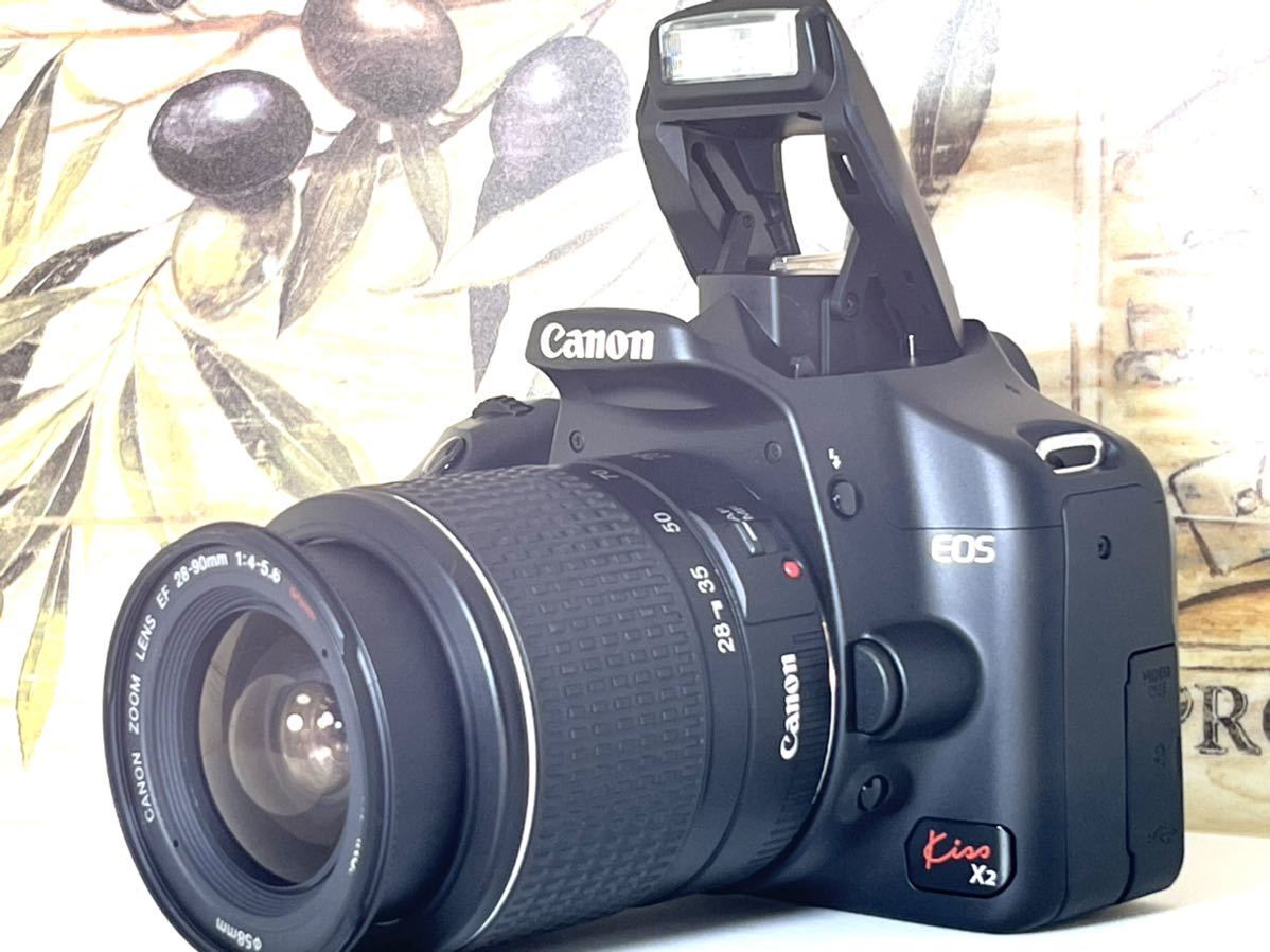 新品級ショット数98回 極上 キャノン Canon EOS Kiss X2 標準レンズセット 重要付属品&おまけ多数 ★デジタル一眼レフ初心者オススメ_画像2