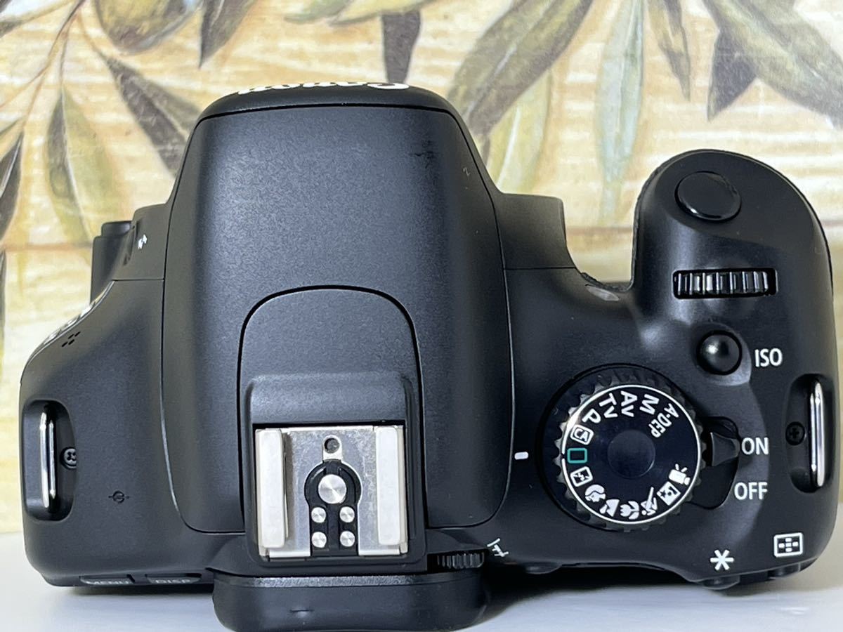 美品 シャッター回数極少3500回 キャノン Canon EOS Kiss X4 Wレンズ