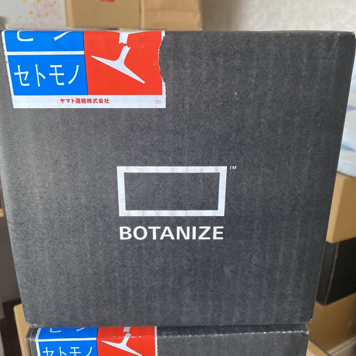 GOUJIN AK LINE BOTANIZE pot C ボタナイズ 豪人 鉢 ポット SRL raw