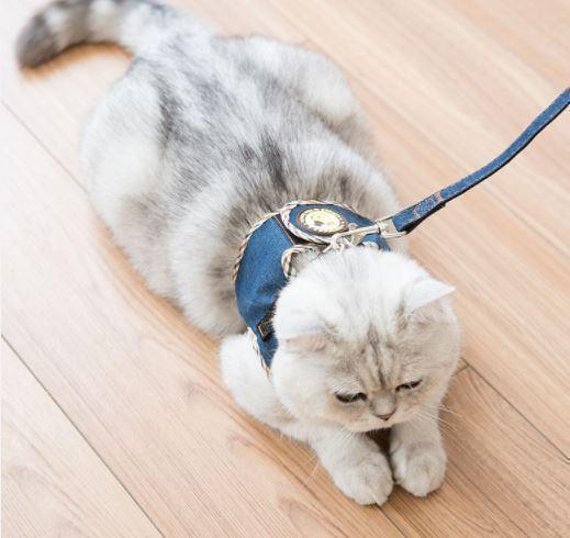 Mサイズ 猫 犬 サスペンダー ハーネス 散歩 三種 水色 青 柄付き
