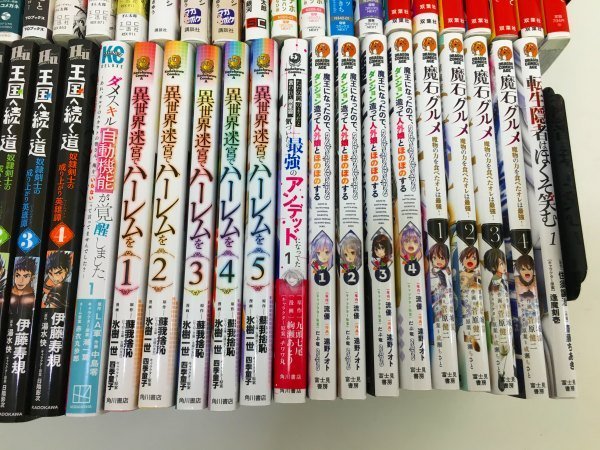 本 漫画 コミック セット ② 検索： 異世界 なろう系 魔王様、リトライ 真の仲間じゃないと勇者のパーティーを 異世界迷宮でハーレムを 菅1_画像7