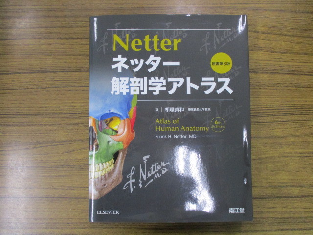 ネッター 解剖学アトラス 第6版　美品_画像1