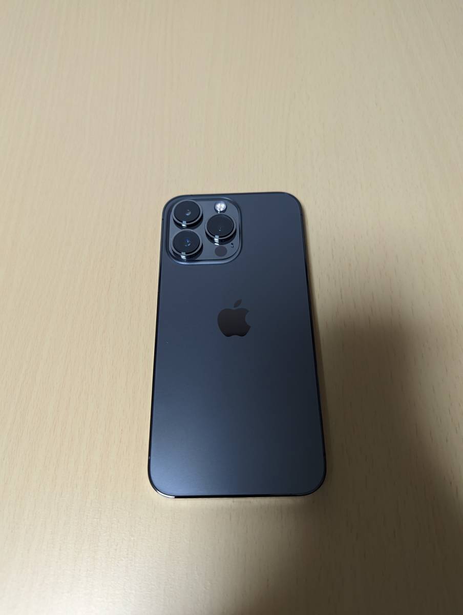 極美品】Apple iPhone 13 Pro 256GB グラファイト バッテリ最大容量100