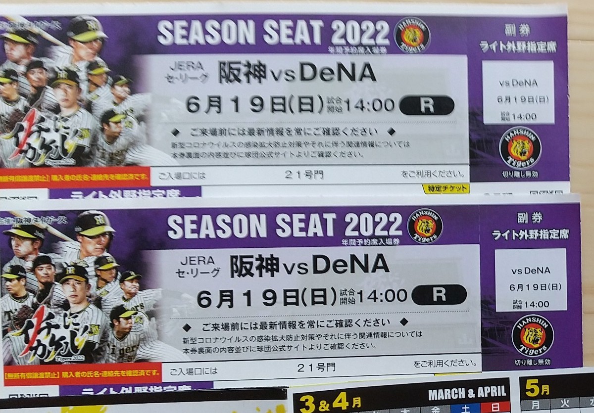 定価以下 6月19日日曜日 阪神甲子園球場 阪神タイガース対横浜DeNA