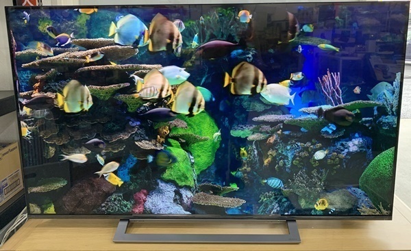 展示美品 東芝 REGZA レグザ 50V型 液晶テレビ 50M540X 4Kチューナー