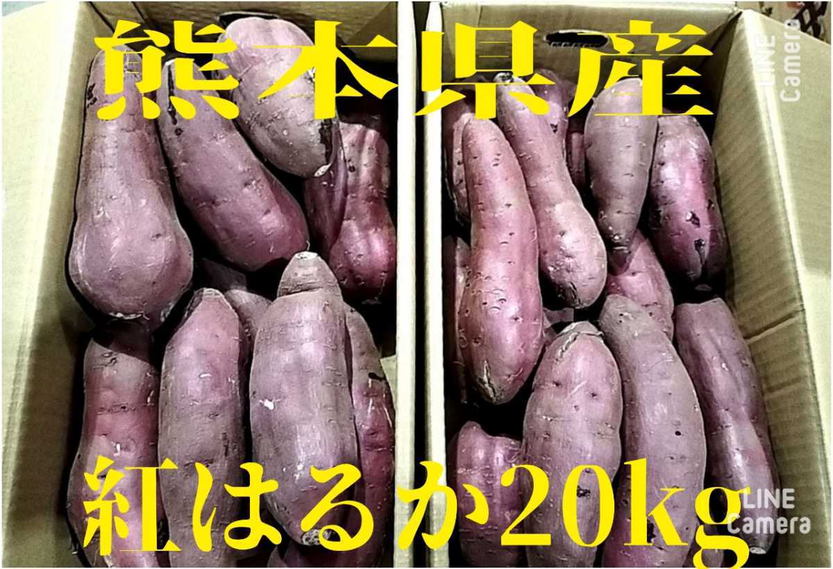 熊本県産紅はるか20kg_画像1