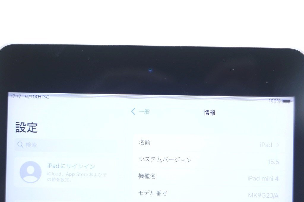 [ジャンク]iPad mini 4 64GB MK9G2J/A スペースグレイ [液晶上部ライン抜け]_画像4