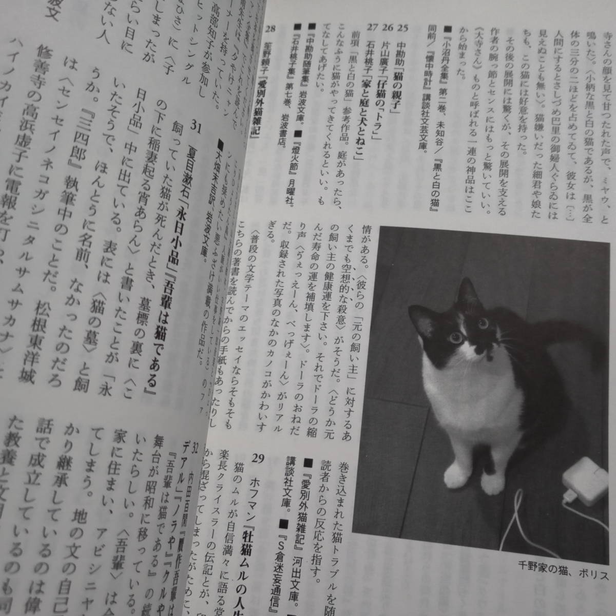  лилия кальмар 2010 год 11 месяц номер специальный выпуск кошка угол рисовое поле свет плата запад ... тысяч . шляпа Yoshida ami храм .... три ... золотой рисовое поле ..