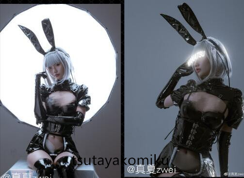 高品質 新作 実物撮影! 暗黒王朝 暗黒のメイド うさぎの女 高品質 新作 実物撮影! 暗黒王朝 暗黒のメイド うさぎの女