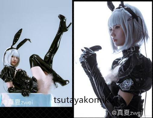 高品質 新作 実物撮影! 暗黒王朝 暗黒のメイド うさぎの女 高品質 新作 実物撮影! 暗黒王朝 暗黒のメイド うさぎの女