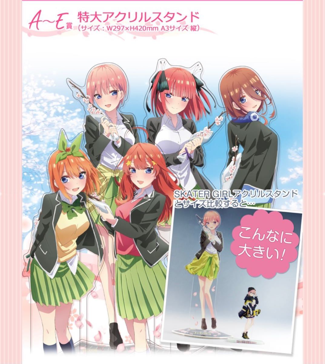 新品 きゃらっとくじ 五等分の花嫁 サクラサク 特大アクリルスタンド